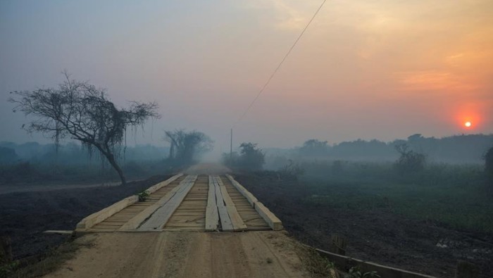 Declaran situación de emergencia en estado brasileño por incendios del Pantanal