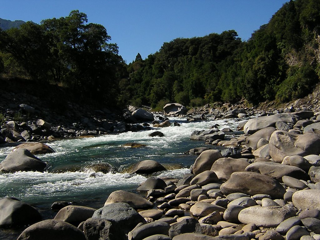 Corte deja sin efecto remate de ríos en Alto Biobío y lo califica de «arbitrario e ilegal» por no consultar a las comunidades