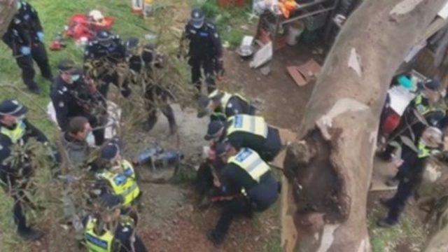 Detienen en Australia a 60 activistas que se negaban a la tala de arboles sagrados