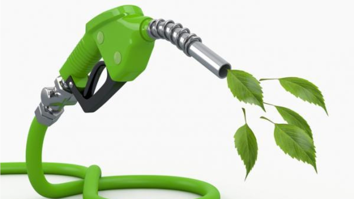 Biocombustible a partir de desechos: una alternativa ecológica