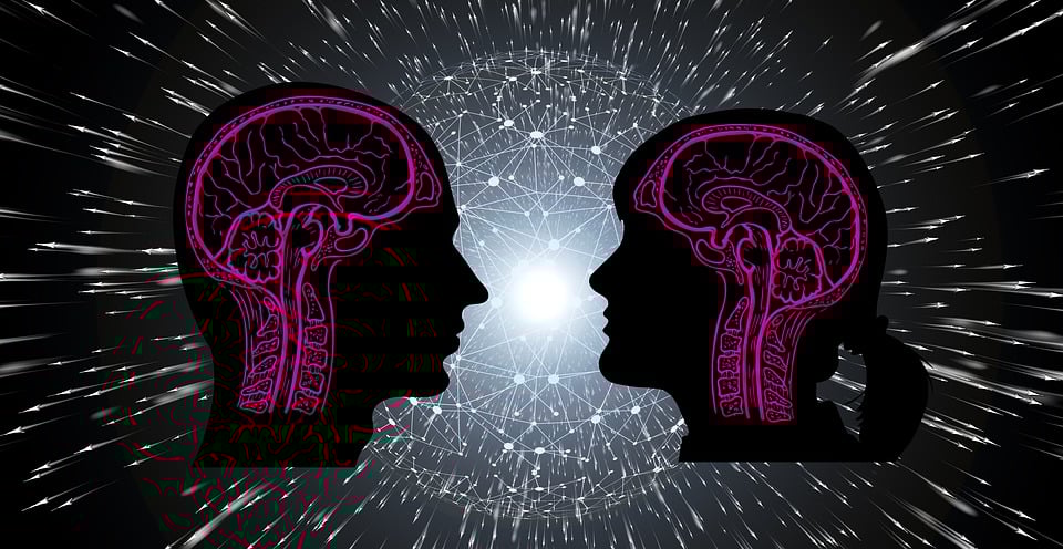 cerebro conciencia ubicación