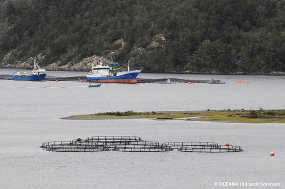 Pescadores artesanales rechazan proyecto Dominga