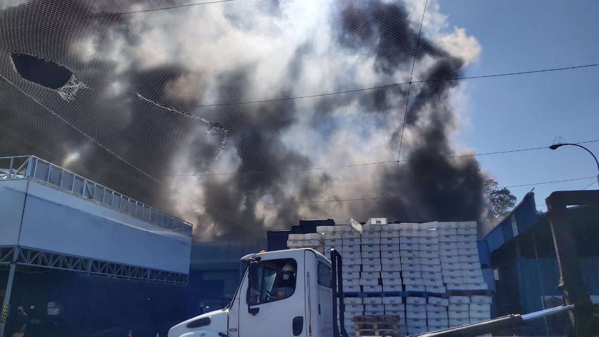 Incendio de pesquera Camanchaca en Talcahuano: Municipio llama a evitar toxicidad del aire mientras empresa descarta liberación de gases