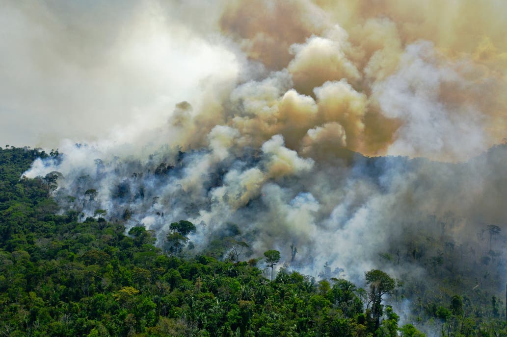 Brasil: suspenden combate de incendios en todo el país por falta de recursos económicos