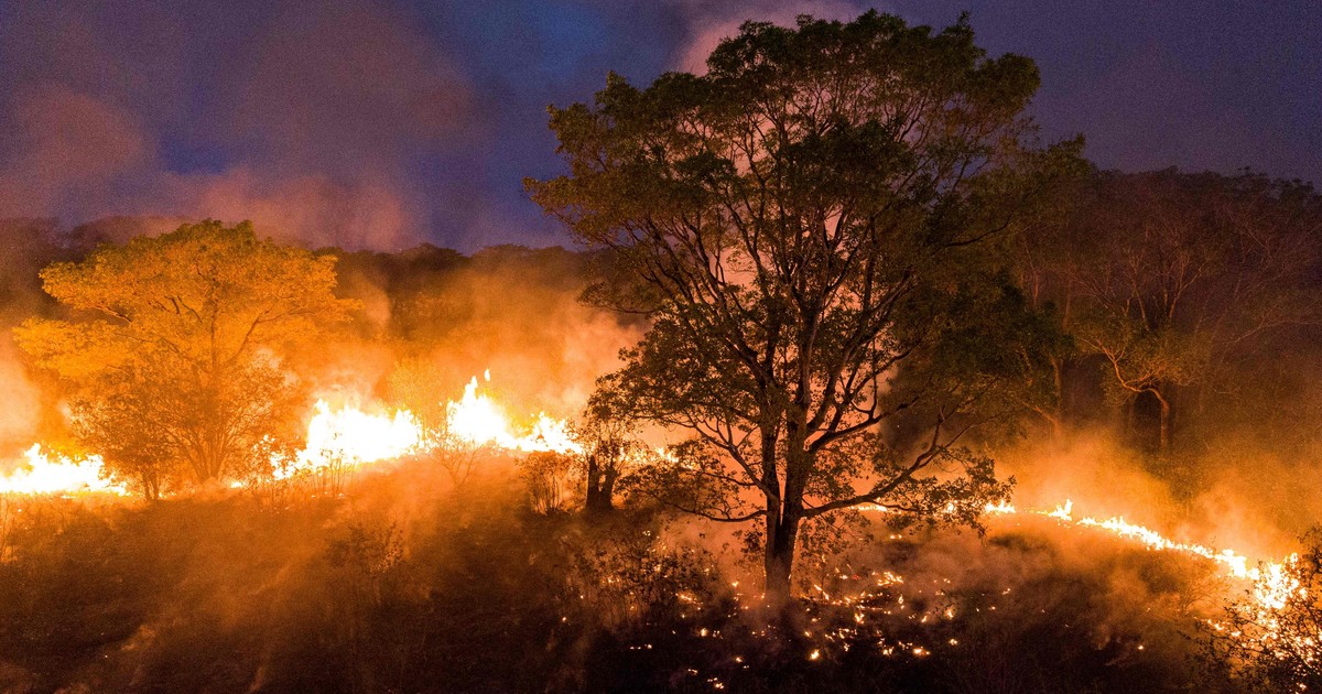 Brasil: despliegan Fuerza Nacional para combatir incendios en el Pantanal