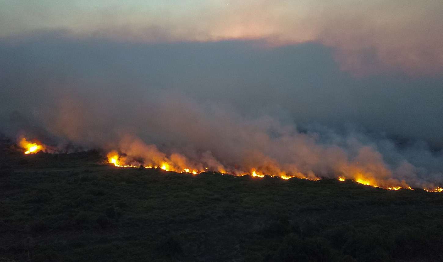 Incendios han consumido casi 33 mil kilómetros cuadrados en el Pantanal brasileño