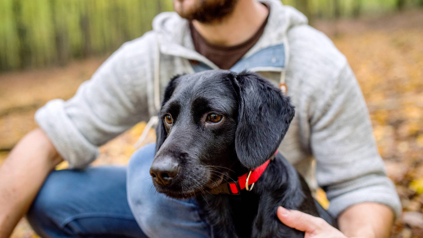 Amistad del hombre con el perro se inició hace 11 mil años