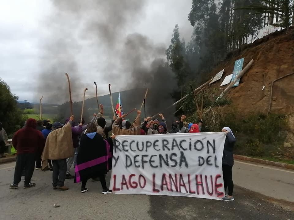 Comunidades mapuche de Lanalhue y conflicto con colonos: «Hoy intentan victimizarse, cuando fueron ellos los que usurparon nuestro territorio»