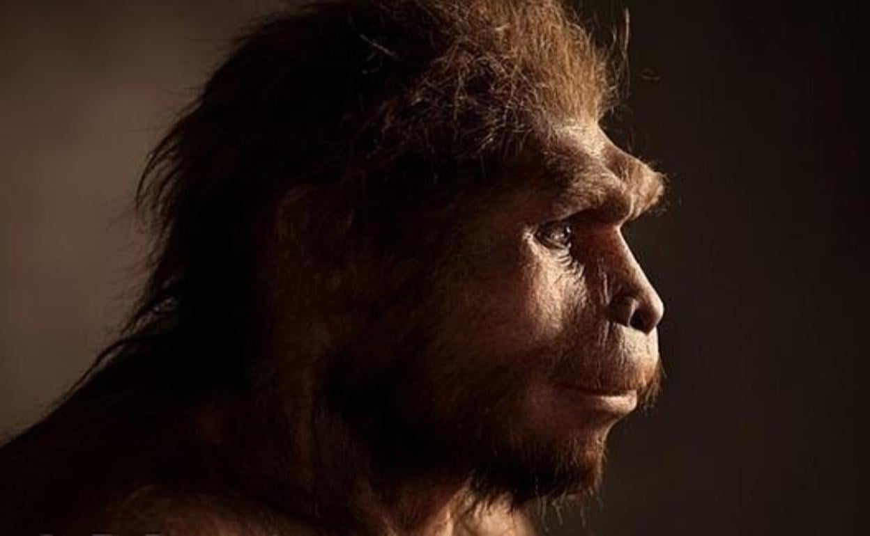 El hallazgo de un cráneo milenario reveló nuevos aspectos de la evolución humana