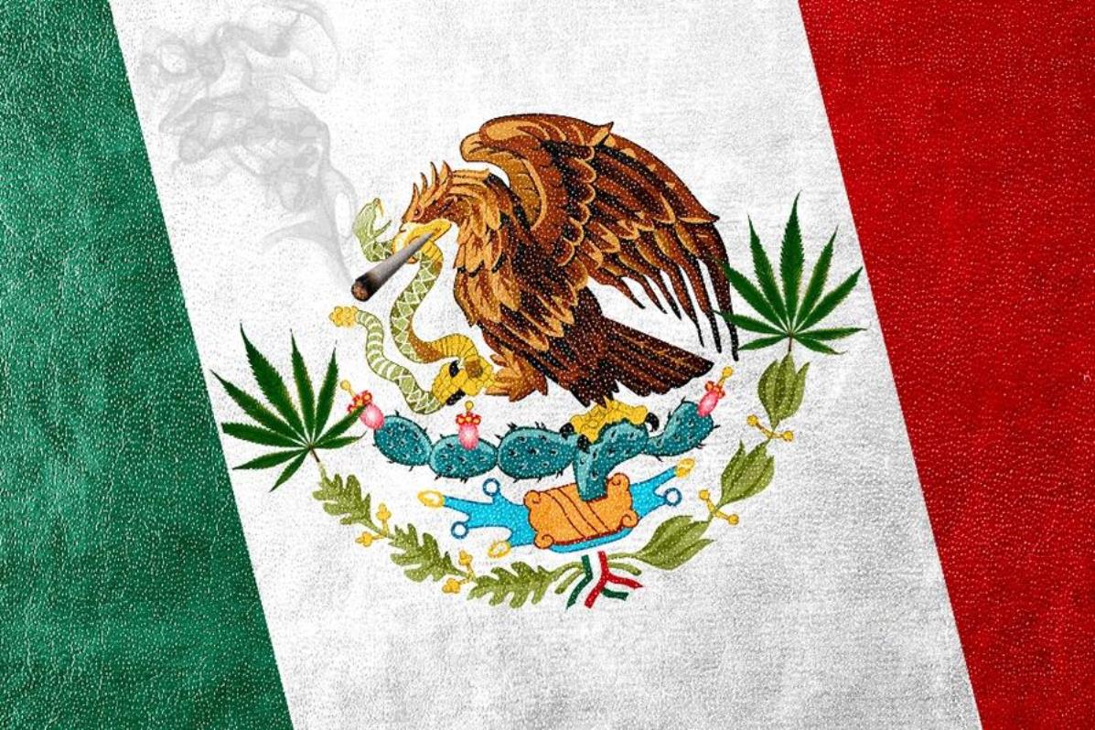La marihuana es legal en México: así lo aprobó el Senado