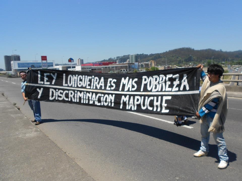 Comunidades Mapuche Lafkenche valoraron anulación parcial de la «Ley Longueira»