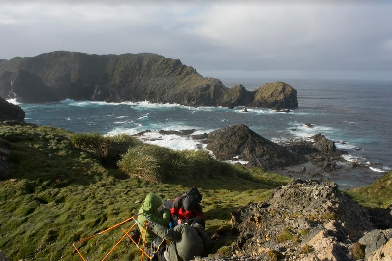 Dictamen de Contraloría excluye la pesca industrial del Parque Marino Islas Diego Ramírez – Paso Drake