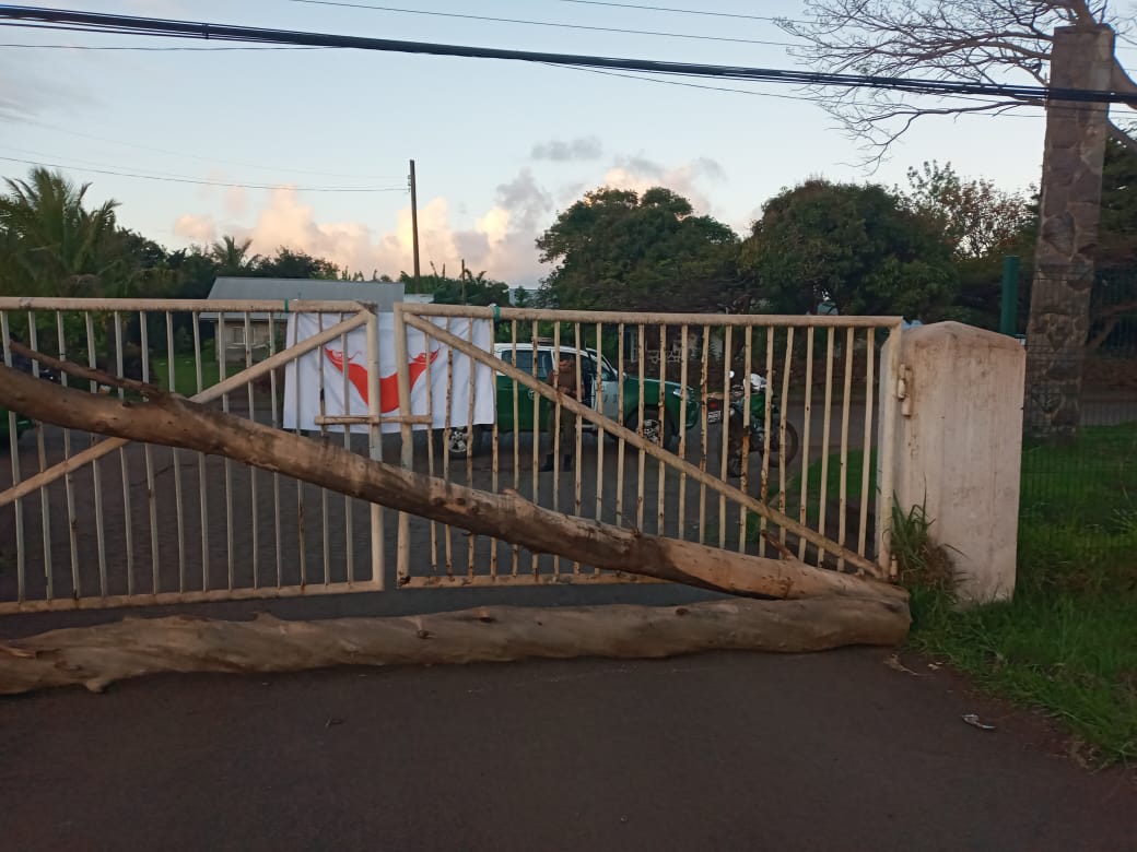 URGENTE: Clan Roe clausura aeropuerto de Rapa Nui en protesta por nula respuesta del Estado a su histórica demanda de restitución territorial