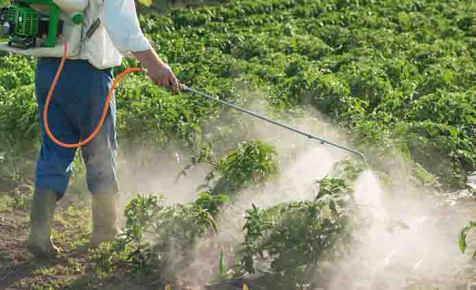 Más de 350 organizaciones internacionales piden a la FAO detener planes de colaborar con la industria de los plaguicidas