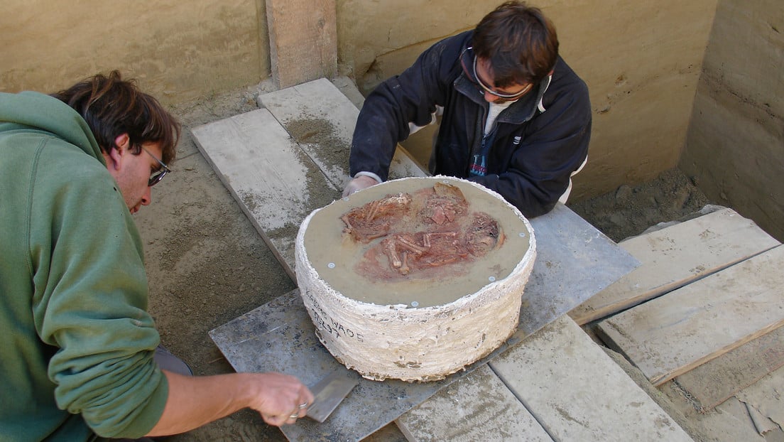 “Refleja un episodio doloroso”: identifican el entierro de gemelos más antiguo del mundo