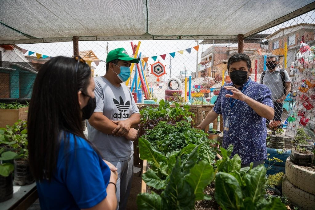 Arica: Huerto comunitario provee de hortalizas a olla común del sector norte de la ciudad