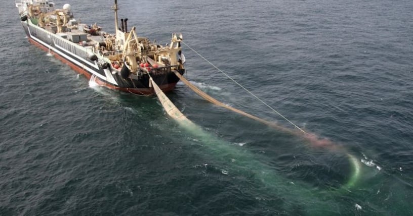 Congreso: Avanza estudio de proyecto que prohíbe la pesca de arrastre de la merluza