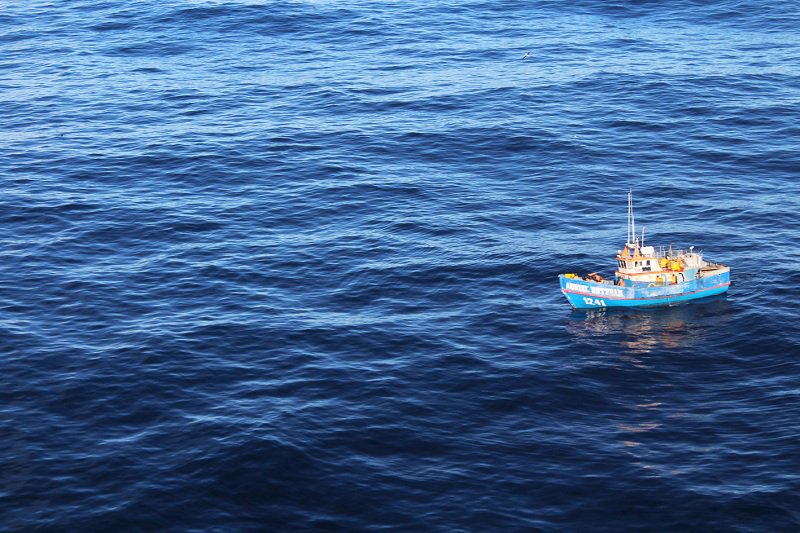Chile, Colombia, Perú y Ecuador anuncian medidas conjuntas contra la «pesca ilegal»