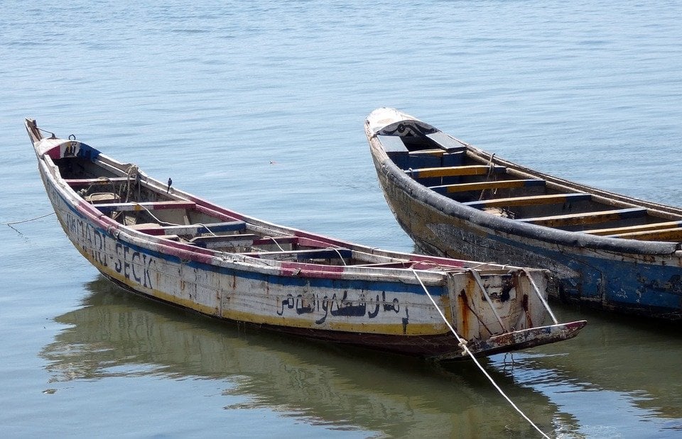 pesca senegal misteriosa enfermedad