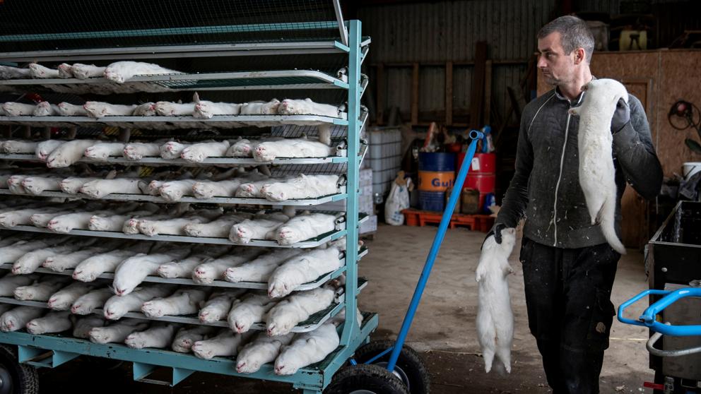 Cómo se termina una industria superflua