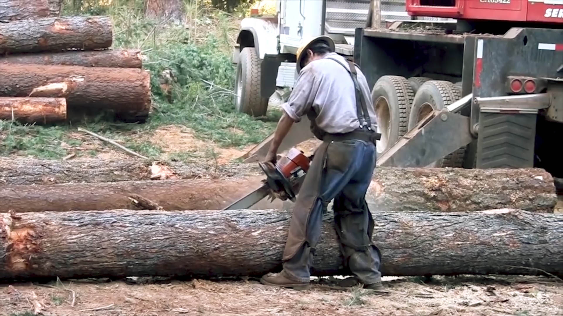 Gracias a Bolsonaro: deforestación del Amazonas alcanza su mayor nivel desde 2008