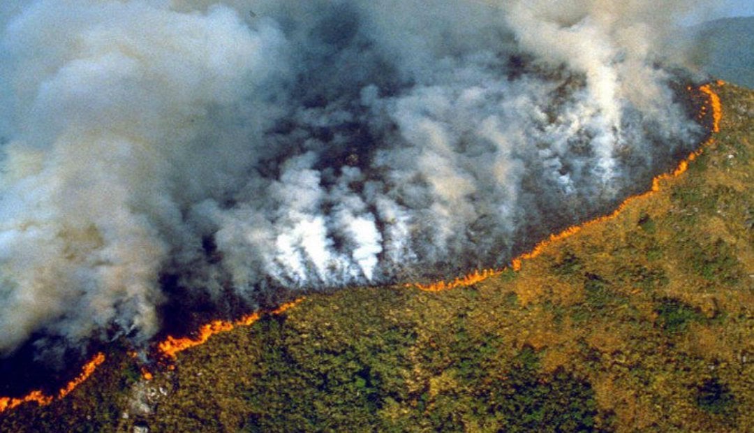 5 tragedias ambientales invisibilizadas por la pandemia