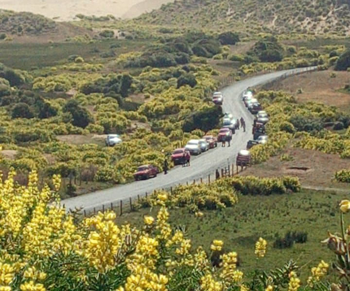 Denuncian cobarde ataque a dos adultos mayores mapuche en Arauco: Identificaron a varios de los agresores