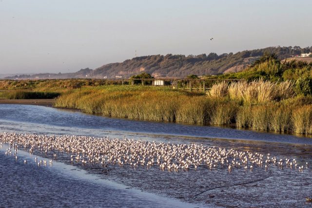 La conservación del agua frente al antropocentrismo