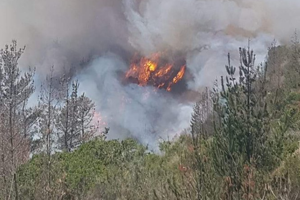 Declaran alerta roja comunal por incendio forestal en Valparaíso