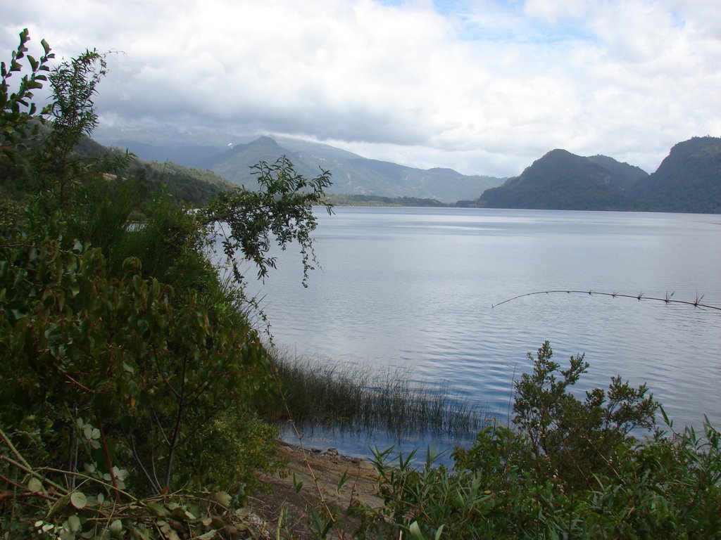 Corte de Valdivia ordena a inmobiliaria restituir tierras a comunidad mapuche del Lago Neltume