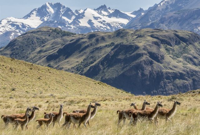 Zona de Interés Científico: El resquicio legal para explotar y destruir Parques y Reservas Naturales en Chile
