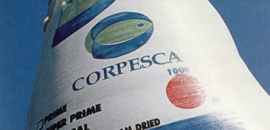 Triunfo histórico de la pesca artesanal: consiguen condena contra Corpesca por comprar votos para aprobar Ley Angelini -Longueira