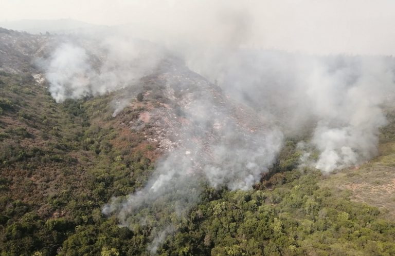 130 incendios forestales se han registrado en Bío Bío en durante la temporada 2020-2021