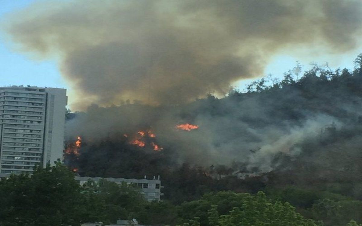 Declaran Alerta Temprana Preventiva en la Región Metropolitana por amenaza de incendio forestal