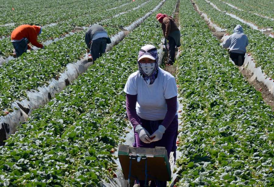 OIT: brecha salarial de migrantes se amplía en países de altos ingresos