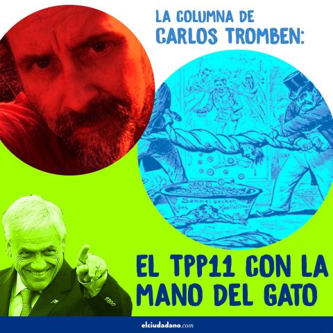 La columna de Carlos Tromben: El TPP-11 con la mano del gato