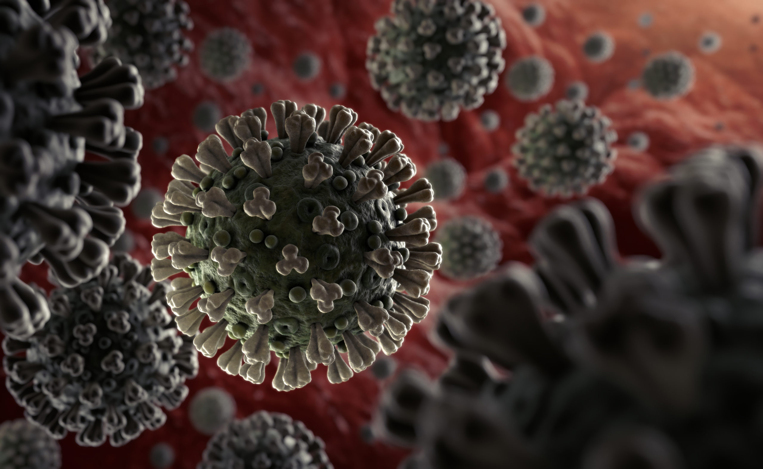 Anticuerpos de anteriores infecciones de coronavirus podrían ofrecer protección contra el COVID-19