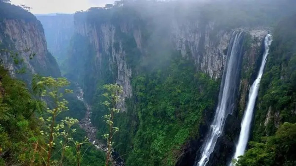 Gobierno de Brasil continúa con política de privatización de parques naturales