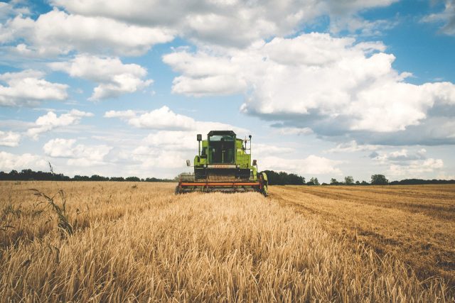 Bill Gates es el mayor propietario de tierras agrícolas en EE.UU.
