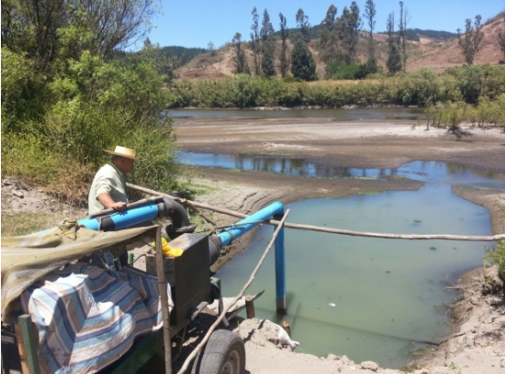 Escasez en Pichidegua: El abandono del Estado que pone en riesgo a una población agrícola sedienta de agua