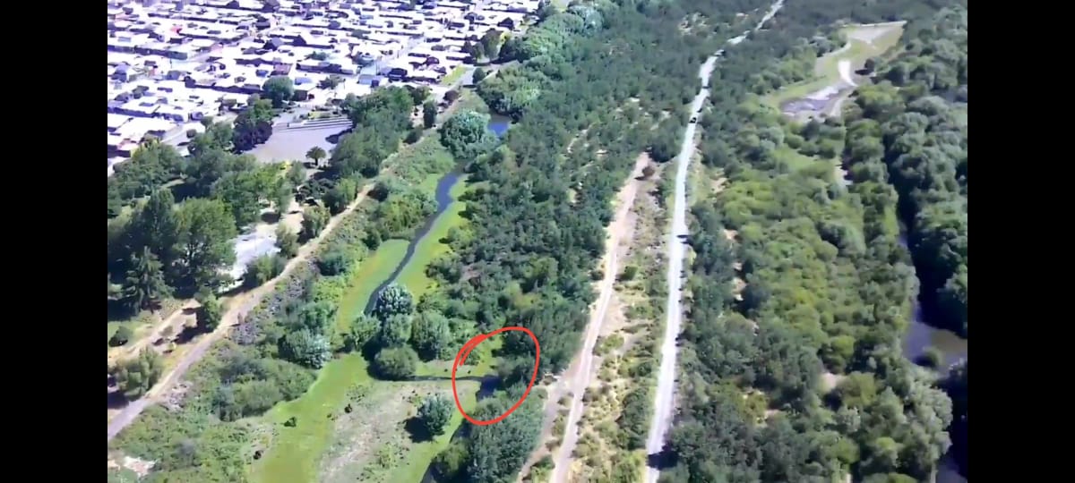 Denuncian depredación de estero y humedal en borde del río Cautín de Temuco