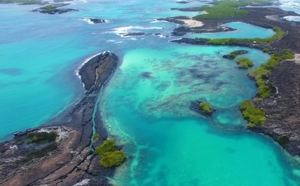 ¿Cómo las Islas Galápagos logran mantener sus hábitats naturales únicos?