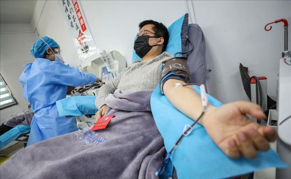 Aplicación de plasma en Paraguay evita que 30% de internados con covid-19 usen respirador