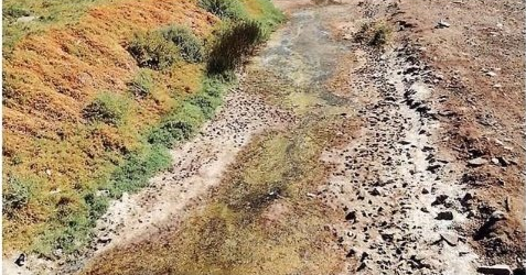 Habitantes de Quillagua denuncian que sequía del río Loa se debe a extracción de agua por minera SQM