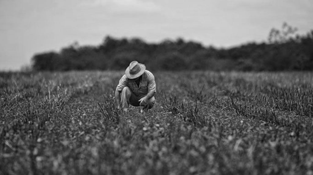 Entrevista a Luis Britto García: Claves para evitar una crisis alimentaria en Venezuela