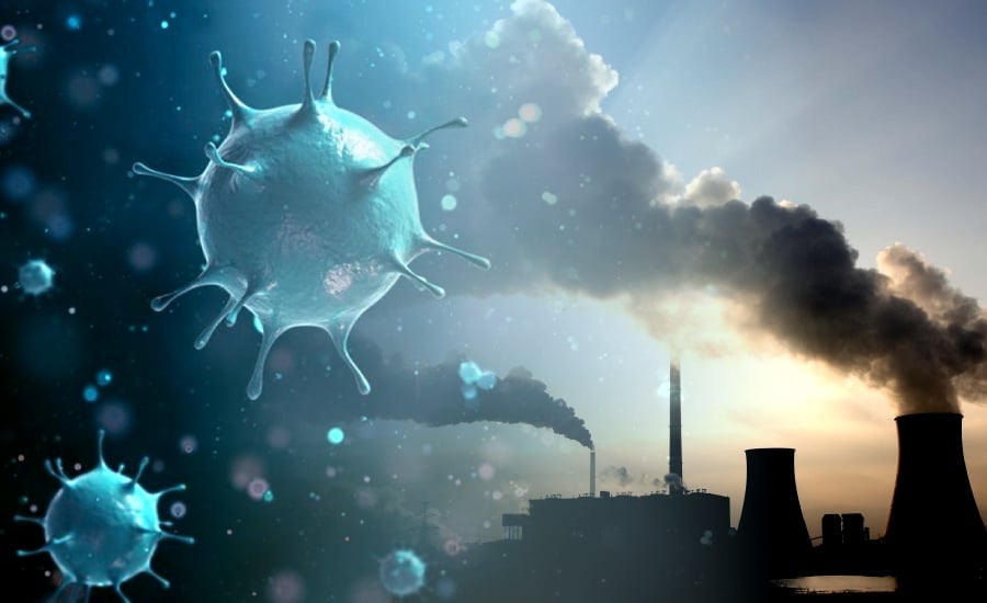 Un estudio revela que el calentamiento global puede haber impulsado aparición del SARS-CoV-2