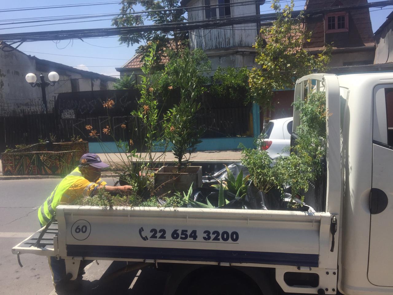 Vecinos exigen reubicación de huerto comunitario de Providencia tras orden de desalojo a la fuerza por parte de alcaldesa Matthei