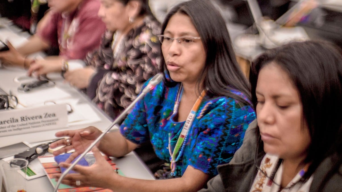 5to Foro de Pueblos Indígenas debatirá sobre el Covid-19 y sus retos