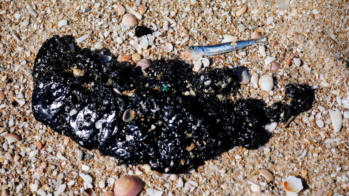 Registran derrame de crudo en la costa israelí