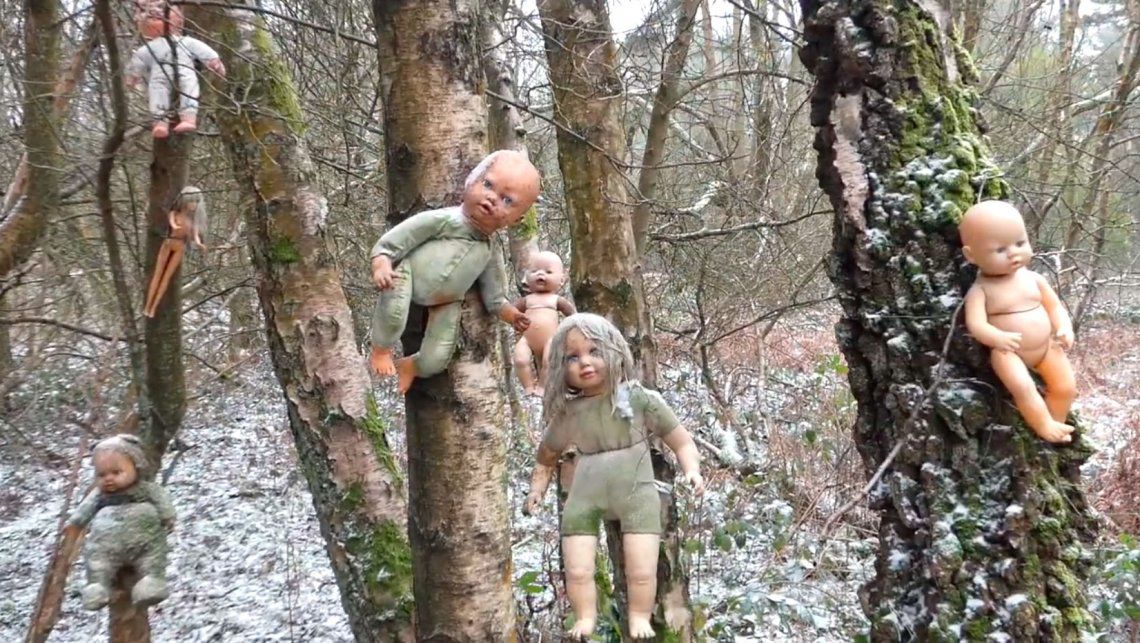 Como de película de terror: Localizan una espeluznante colección de muñecos clavados en árboles